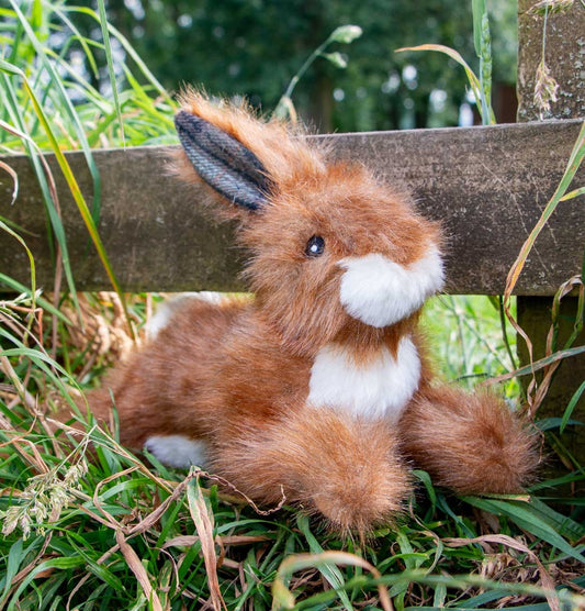 Plush Squeeky Hare Dog Toy