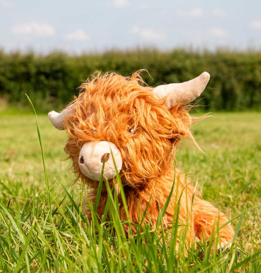 Heritage Fergus Highland Cow – Eco-Friendly Plush Dog Toy