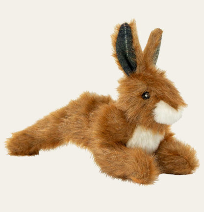 Plush Squeeky Hare Dog Toy