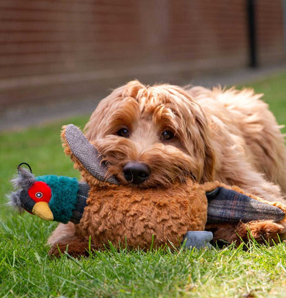 Plushy Squeeky Pheasant Dog Toy