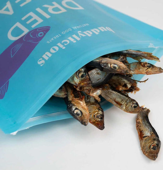 Buddylicious 100% Natural Sea Sprats Dog Treats