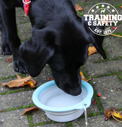 Collapsible Dog Travel Bowl
