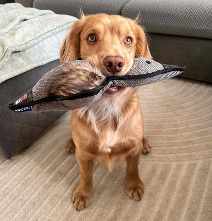 Tweed Squeeky Duck Dog Toy